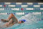 Swimming & Diving vs Babson  Swimming & Diving vs Babson College. - Photo by Keith Nordstrom : Wheaton, Swimming